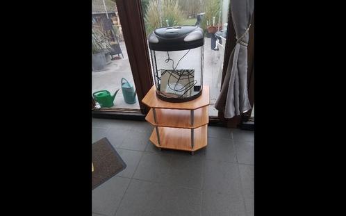 Panoramisch aquarium 40 liter, Dieren en Toebehoren, Vissen | Aquaria en Toebehoren, Gebruikt, Ophalen