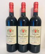 Château du Moulin Rouge – 2010 – Cru Bourgeois- Haut Medoc., Collections, Vins, Pleine, France, Enlèvement ou Envoi, Vin rouge