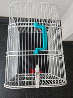 Transport kooi kleine huisdieren +kussen, Dieren en Toebehoren, Ophalen, Zo goed als nieuw