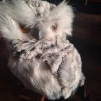 Chouette de plumes et de plumes, Collections, Enlèvement ou Envoi