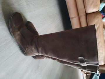 Hush Puppies Dameslaars 42 beschikbaar voor biedingen