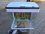Leeg aquarium SuperFish panorama LED 50. Zie andere zoekers, Ophalen, Zo goed als nieuw, Leeg aquarium