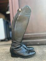 Petrie rijlaarzen, Dieren en Toebehoren, Paardrijkleding, Ophalen of Verzenden