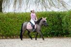 Super lieve gereden Shetlander merrie, Dieren en Toebehoren, Merrie, Gechipt, Zadelmak, A pony (tot 1.17m)