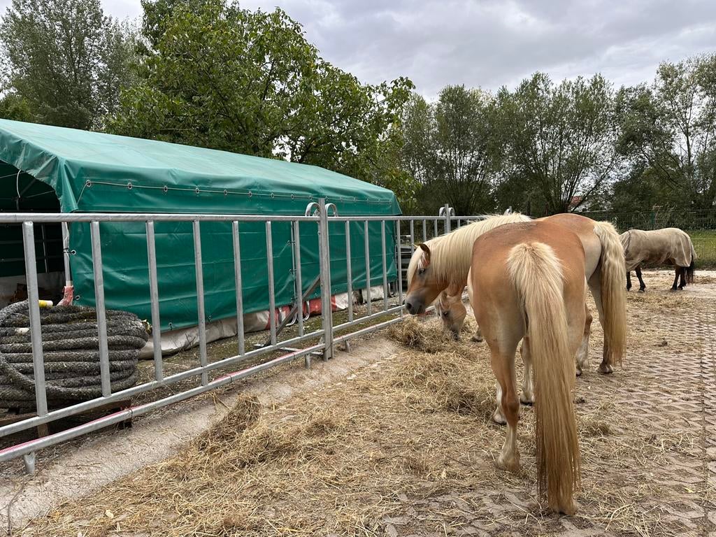 Voederpanels, Dieren en Toebehoren, Stalling en Weidegang