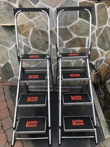 Little Giant beschikbaar voor biedingen