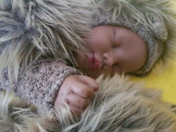 Anne Geddes egels beschikbaar voor biedingen