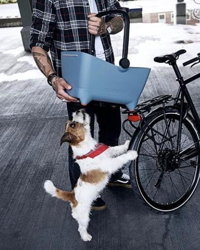 Basil hondenfietsmand, Fietsen en Brommers, Fietsaccessoires | Overige Fietsaccessoires, Gebruikt, Ophalen of Verzenden
