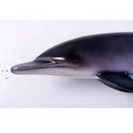 Dolphin – Dolfijn beeld Lengte 79 cm, Nieuw, Ophalen