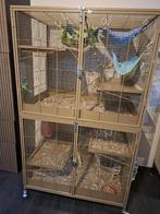 Rattenkooi Penthouse, Dieren en Toebehoren, Ophalen, Kooi, Rat, Zo goed als nieuw