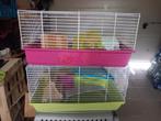Cage hamster russe, Comme neuf, Cage, Enlèvement ou Envoi, Moins de 60 cm