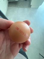 Scharrel, Diversen, Levensmiddelen, Ophalen