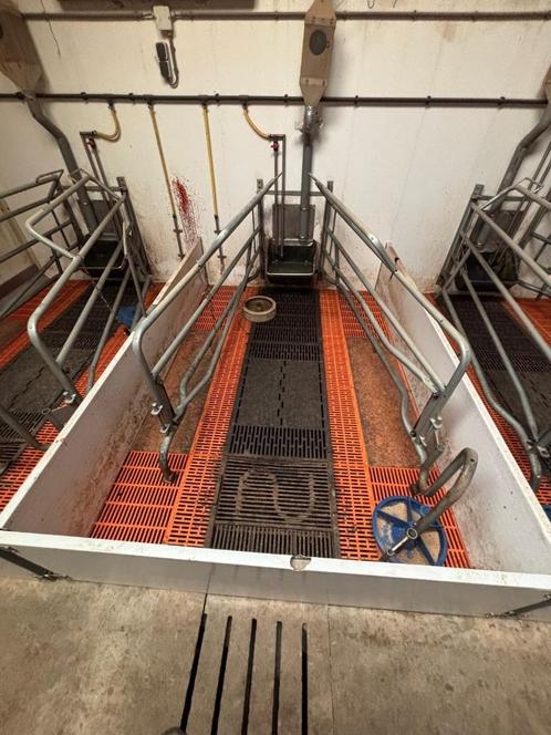 Kraamhokken Kari [604], Dieren en Toebehoren, Stalling en Weidegang