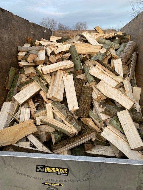 Brandhout Abeel Halfdroog / 3m³ Los gestort, Tuin en Terras, Brandhout, Blokken, Overige houtsoorten, 3 tot 6 m³, Ophalen of Verzenden