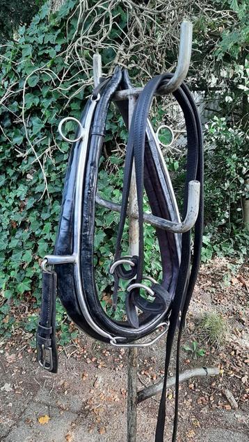  🔴GOED GAREEL 58 X 22 CM MET STRENGEN KWPN PAARD 95 €  🔴  beschikbaar voor biedingen