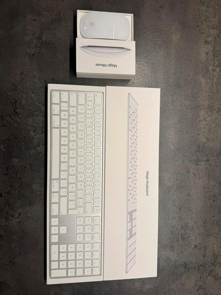 Apple Magic Mouse 2, Computers en Software, Muizen, Muis, Ophalen