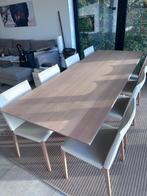 Tafel en 8 stoelen, Huis en Inrichting, Tafels | Eettafels, Ophalen, Zo goed als nieuw
