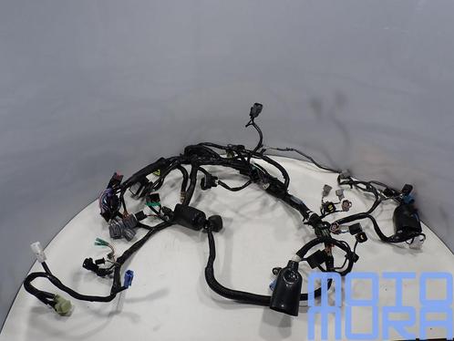 Kabelboom voor de Kawasaki Z800 ABS 2012 - 2016 Z 800 bedrad, Motoren, Onderdelen | Kawasaki, Gebruikt, Ophalen of Verzenden