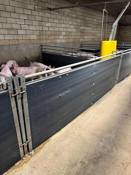 Hokinrichting vleesvarkens [425], Dieren en Toebehoren, Schapen, Geiten en Varkens