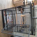 Papagaaien kooi, Animaux & Accessoires, Oiseaux | Cages & Volières, Comme neuf, Autres matériaux, Enlèvement, Cage à oiseaux