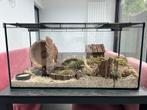 Terrarium hamster incl toebehoren, Ophalen, Zo goed als nieuw, Hamster