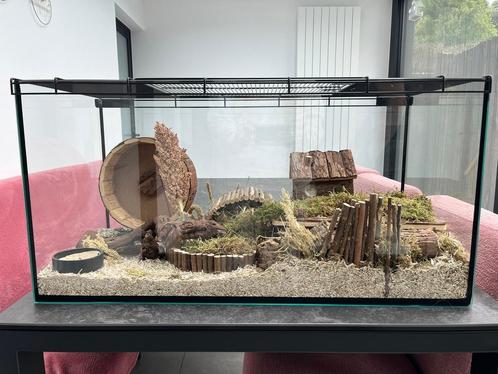 Terrarium hamster incl toebehoren, Dieren en Toebehoren, Knaagdieren en Konijnen | Hokken en Kooien, Zo goed als nieuw, Hamster