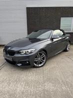 Bmw 220i // cabrio // M pakket, Auto's, Te koop, Zilver of Grijs, Benzine, 2 Reeks