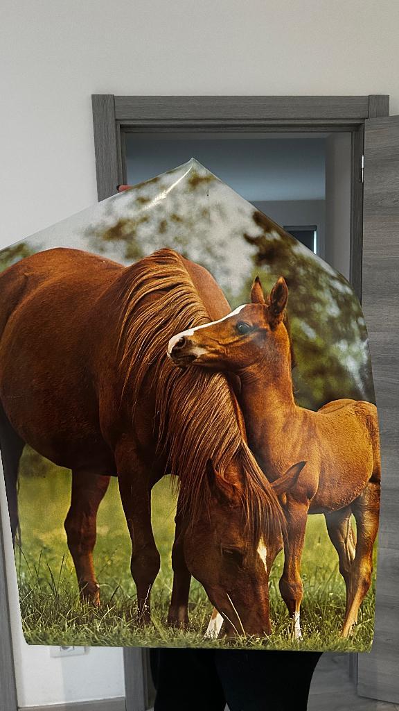 2 posters met veulen/merrie, Verzamelen, Posters, Zo goed als nieuw, Dier of Natuur, Deurposter of groter, Rechthoekig Staand
