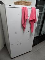 diepvries, Elektronische apparatuur, Vriezers en Diepvrieskisten, Gebruikt, 140 tot 160 cm, Ophalen, Vrieskast