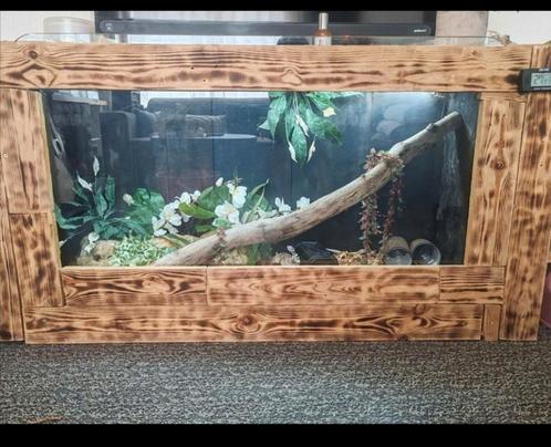 Terrarium, Animaux & Accessoires, Reptiles & Amphibiens | Accessoires, Comme neuf, Enlèvement