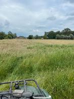 Hooi, Dieren en Toebehoren