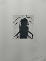 Luc Tuymans Superstition, Antiek en Kunst, Kunst | Litho's en Zeefdrukken, Ophalen of Verzenden