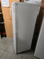 Diepvriezer, Elektronische apparatuur, Vriezers en Diepvrieskisten, Ophalen