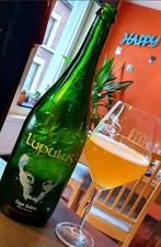 Recherche Magnum LUPULUS 2012, Ophalen of Verzenden, Nieuw, Flesje(s), Overige merken