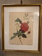 Redouté print 2 stuks, Antiek en Kunst, Kunst | Schilderijen | Klassiek, Ophalen