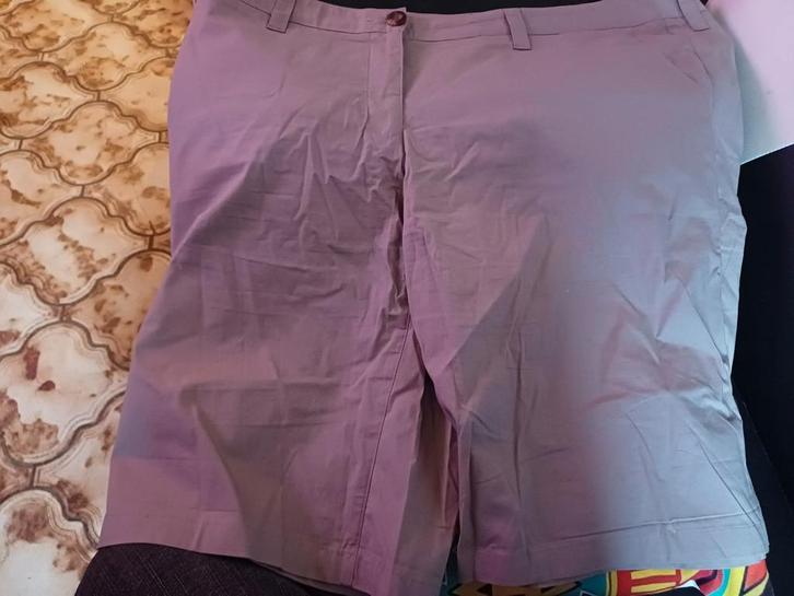 Set van 5 prachtige XXL-shorts in goede staat, Kleding | Dames, Broeken en Pantalons, Gedragen, Ophalen of Verzenden
