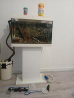 Aquarium te koop met alle toebehoren 120€, Dieren en Toebehoren, Ophalen