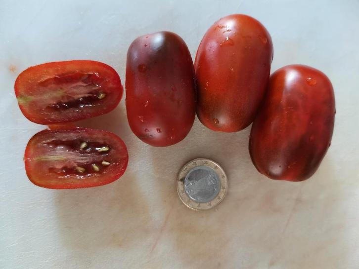 Tomate Andine noire - 5 graines, Jardin & Terrasse, Bulbes & Semences, Graine, Printemps, Plein soleil, Envoi