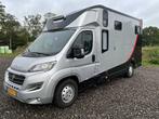 2019 Fiat Carroceria Ameline Ducato 35H 2.3 MultiJet paarden, Auto's, Bestelwagens en Lichte vracht, Gebruikt, Euro 6, Overige brandstoffen