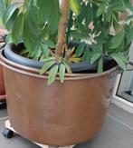 Grote koperen ketel, Antiek en Kunst, Ophalen