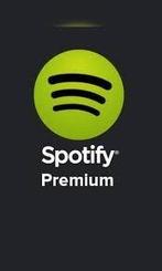 Spotify premium 1 ans/ 30€
