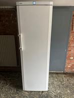 Liebherr nofrost, Elektronische apparatuur, Vriezers en Diepvrieskisten, Ophalen, Zo goed als nieuw