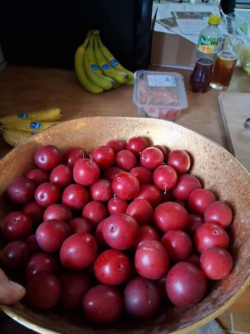 Prunes rouges fraîches, Enlèvement