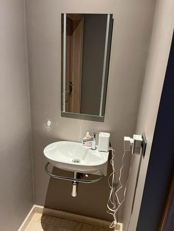 Wasbakje (toilet) met handdoekenhouder + spiegel