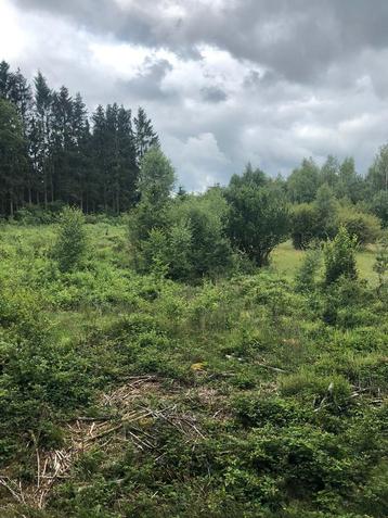 Terrain agricole et forestier 