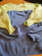 lot van 2 pulls medium, Kleding | Dames, Maat 38/40 (M), Blauw, Ophalen of Verzenden, Amelie&Amelie