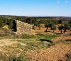 Finca in Maella (Aragón, Spanje) - 0832, Immo, Overige soorten, Spanje, Landelijk