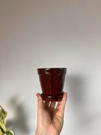 Plantenpotje, Ophalen, Zo goed als nieuw