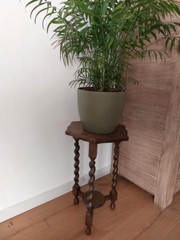 Plantenstaander met gedraaide poten beschikbaar voor biedingen