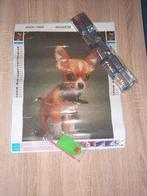 Diamond painting chihuahua, Enlèvement ou Envoi, Neuf